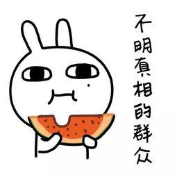 吃瓜娱乐常用bgm,跟随热门bgm，解锁吃瓜娱乐新境界